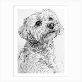 Maltese Dog Line Drawing Sketch 3 Art Print