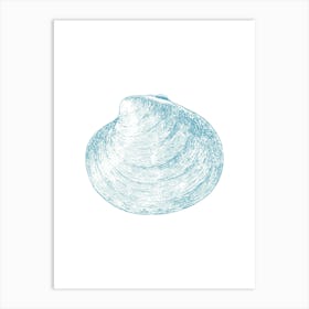 Clam Shell Art Print