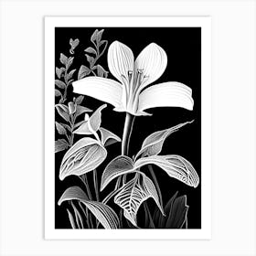 White Trillium Wildflower Linocut 2 Art Print