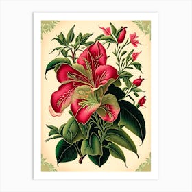 Mandevilla 1 Floral Botanical Vintage Poster Flower Art Print