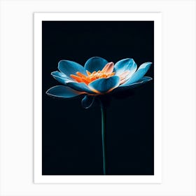 Lotus Flower 24 Art Print