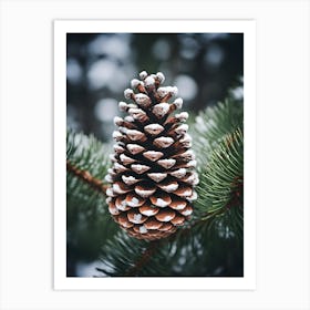 Pine Cone In Winter Art Print