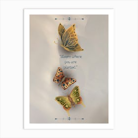 Butterflies In Flight Art Print