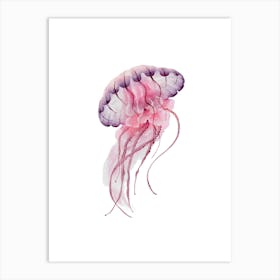 Watercolor Jellyfish 4 Art Print