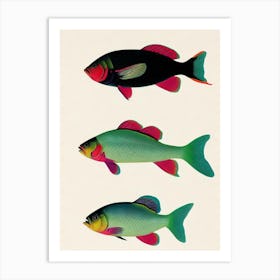 Coral Reef Fish Vintage Poster Art Print