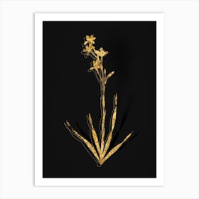 Vintage Bugle Lily Botanical in Gold on Black Art Print