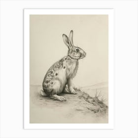 English Spot Rabbit Drawing 4 Art Print