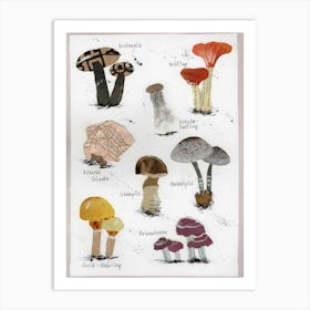 Fungi Print Pilze Maschrooms collage Art Print