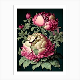 Peonies Black Vintage Botanical Art Print