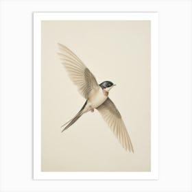 Vintage Bird Drawing Swallow 1 Art Print