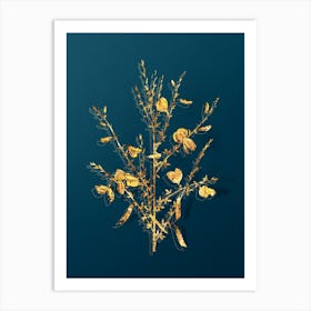 Vintage Yellow Broom Flowers Botanical in Gold on Teal Blue n.0144 Art Print