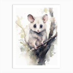 Light Watercolor Painting Of A Nocturnal Possum 4 Art Print