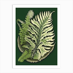 Soft Shield Fern Vintage Botanical Poster Art Print