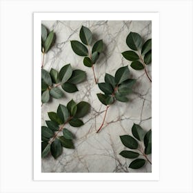 Eucalyptus Leaves On Marble Art Print