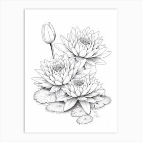 Line Art Inspired By Water Lilies 4 Art Print