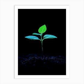 Young Green Plant On Black Background 5 Art Print