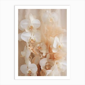 Boho Dried Flowers Orchid 4 Art Print