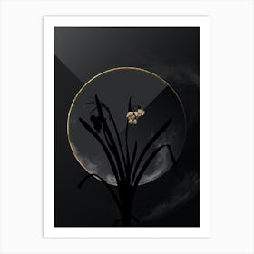 Shadowy Vintage Summer Snowflake Botanical on Black with Gold n.0122 Art Print