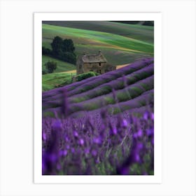 Lavender Fields In France Art Print