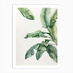 Banana Leaves 29 Art Print