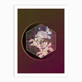AAMPW Abstract Red Gallic Rose Mosaic Botanical Illustration n.0120 Art Print