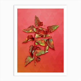 Vintage Common Smilax Botanical Art on Fiery Red n.0838 Art Print
