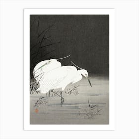 Two Egrets In The Reeds (1900 1930), Ohara Koson Art Print