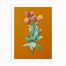 Vintage Cudweeds Botanical on Sunset Orange Art Print
