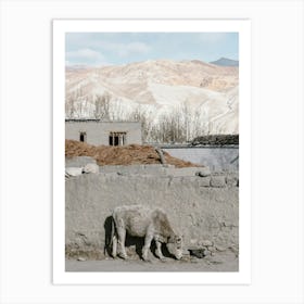 Street Scene In Upper Mustang In Nepal Art Print