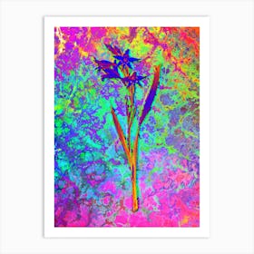 Gladiolus Cuspidatus Botanical in Acid Neon Pink Green and Blue n.0085 Art Print