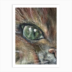 Velvet cat, oil velvet Art Print