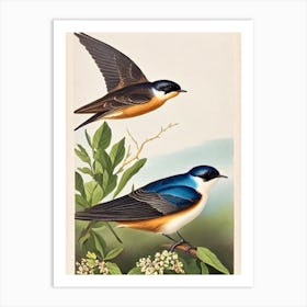 Swallow James Audubon Vintage Style Bird Art Print
