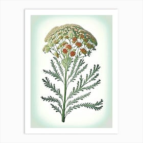 Yarrow Floral 1 Botanical Vintage Poster Flower Art Print