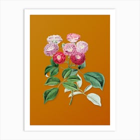 Vintage Seven Sister's Rose Botanical on Sunset Orange n.0228 Art Print