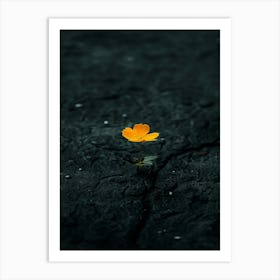 Flower In Water 8 Art Print