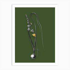Vintage Albuca Black and White Gold Leaf Floral Art on Olive Green Art Print
