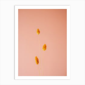 Orange And Coral Botanical Art Print