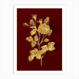 Vintage Pink Agatha Rose Botanical in Gold on Red n.0407 Art Print