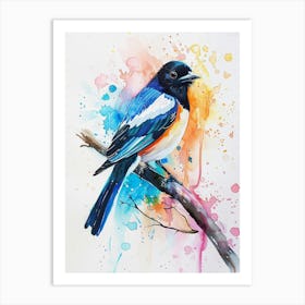 Magpie Colourful Watercolour 1 Art Print