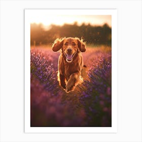 Dog Running Through Lavender Field. Generated AI. Art Print Art Print