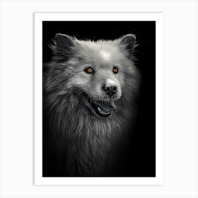 Black And White Fluffy Malamute dog With Orange Eyes. Art Print