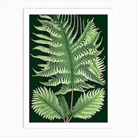 Japanese Tassel Fern 6 Vintage Botanical Poster Art Print