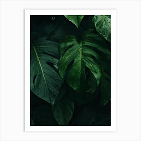 Green Leaves In The Jungle Art Print