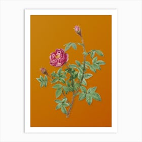 Vintage Moss Rose Botanical on Sunset Orange n.0074 Art Print