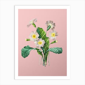 Vintage Grandiflora Botanical on Soft Pink n.0736 Art Print