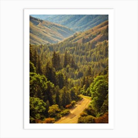 Muir Woods National Park 2 United States Of America Vintage Poster Art Print