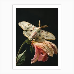 Moth On A Flower Art Print