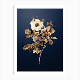 Gold Botanical Twin Flowered White Rose on Midnight Navy n.4669 Art Print