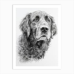 Newfoundland Dog Line Sketch 1 Art Print