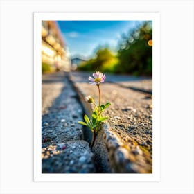 Concrete Garden Discover A Tiny Wildflower Bravel (1) Art Print